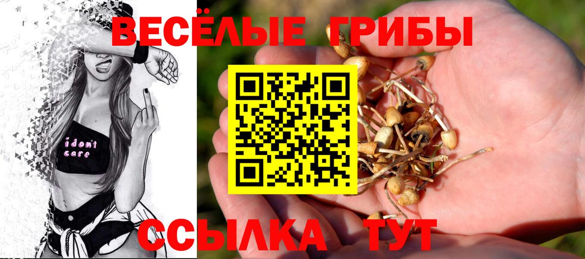 Меф   Альфа ПВП СОЛЬ   Канабис  Меф МЯУ МЯУ  NBOMe  МДМА  ГАШ  Гагарин  Вход с VPN 