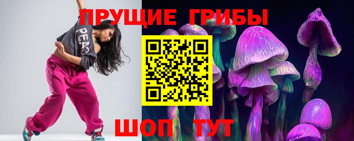 Псилоцибиновые грибы мицелий  Вход с VPN  Гагарин  Псилоцибиновые грибы мухоморы 